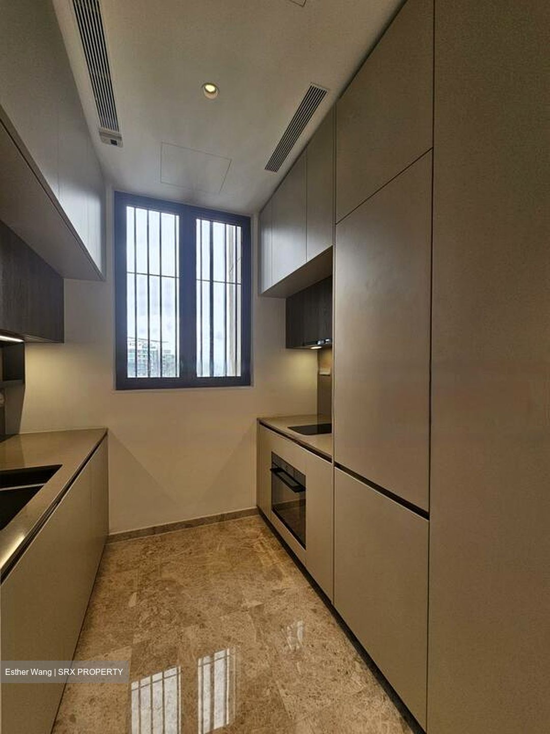 The Avenir (D9), Condominium #458821111